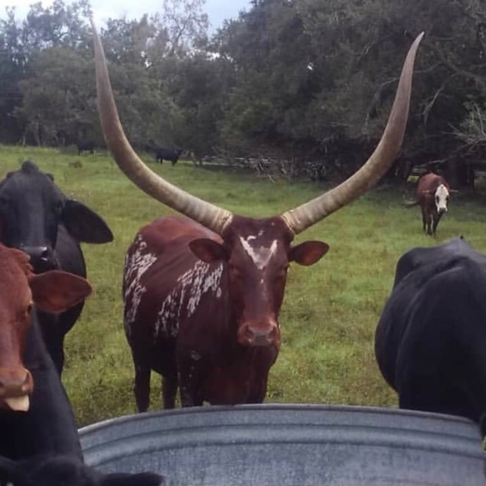 Meet your Posher, Linda